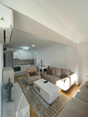 srle home